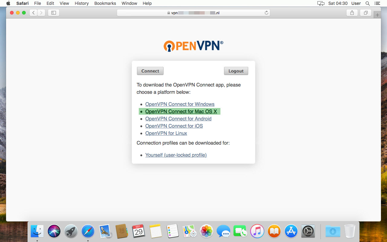 vpn access manager for mac